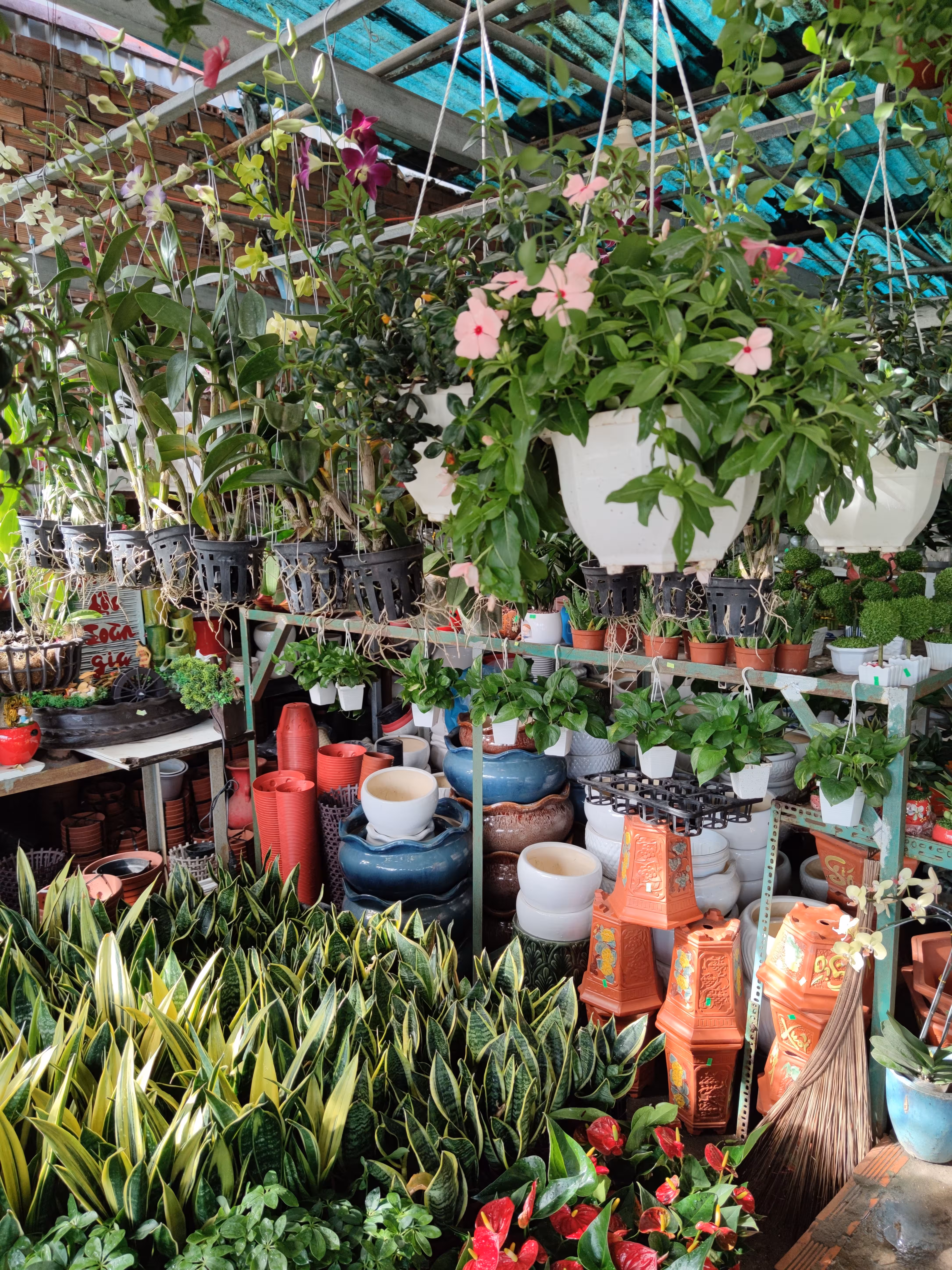 Aardhya Green Nursery Greater Noida