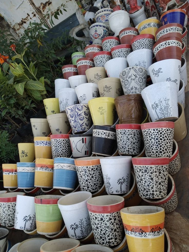 Pots and Planters at Aardhya Green Nursery